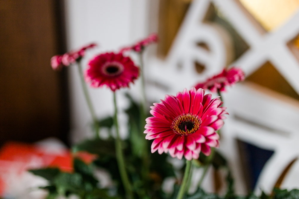 Hochzeitsfotograf in Harburg und Sottorf